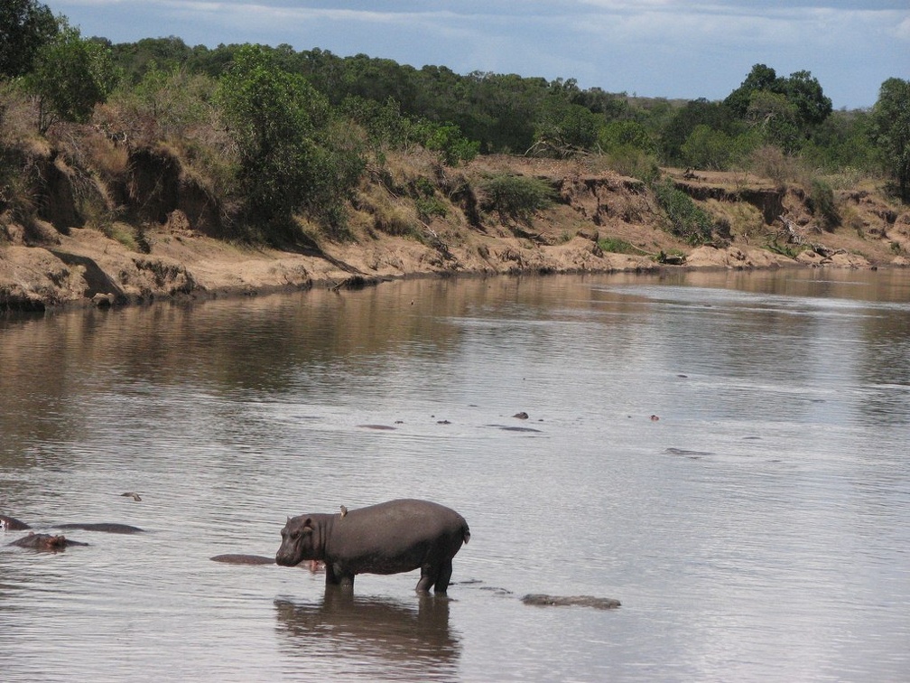 KENYA SAFARI----0271