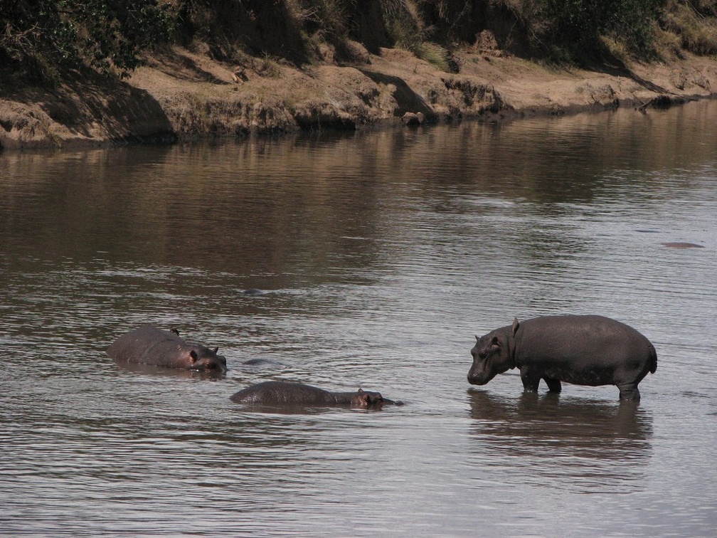 KENYA SAFARI----0273