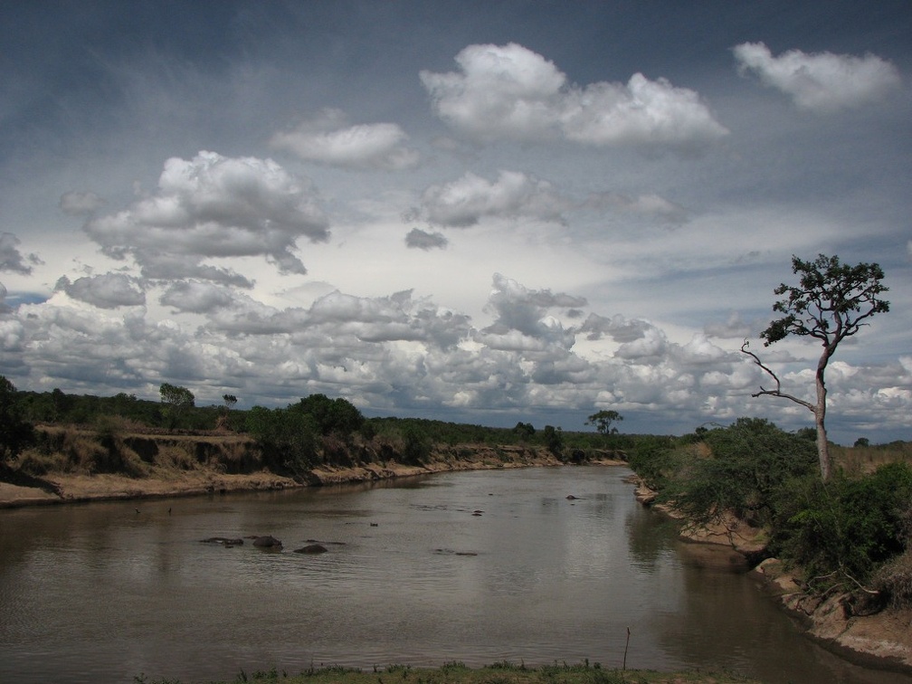 KENYA SAFARI----0274