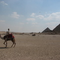 EGYPTE----0140