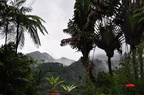 Martinique  2013-29