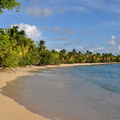 Martinique_ 2013-51.JPG