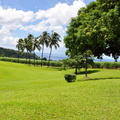 Martinique  2013-73