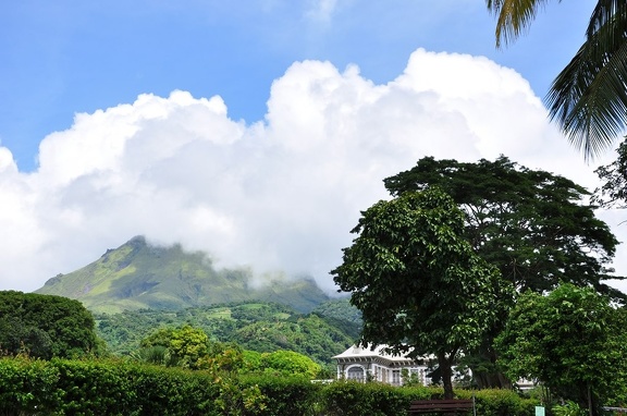 Martinique  2013-81
