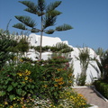 TUNISIE----0046