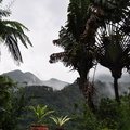 Martinique  2013-29
