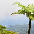 Martinique_ 2013-71.JPG